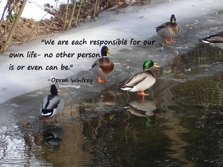 quote by Oprah Winfrey on ducks pic