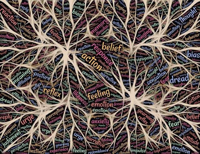 Brain nerves depiction