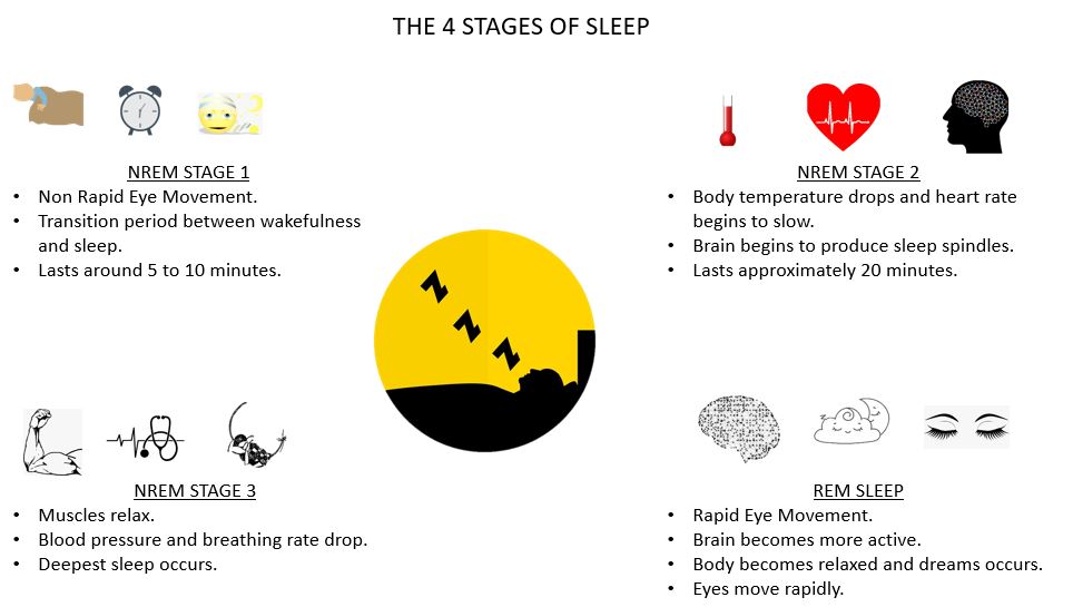 4 Stages of Sleep for mental fitness