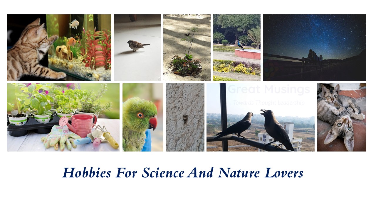 Pics depicting hobbies for science and nature lovers; birds and animals pics.